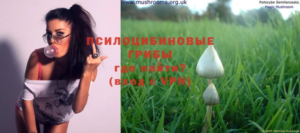 дживик Мегион