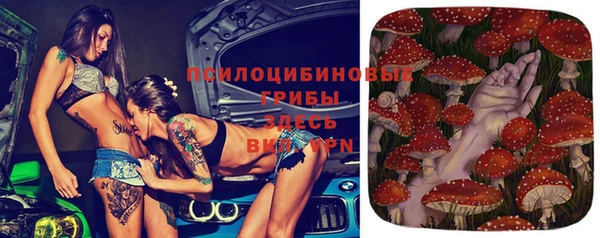 дживик Мегион