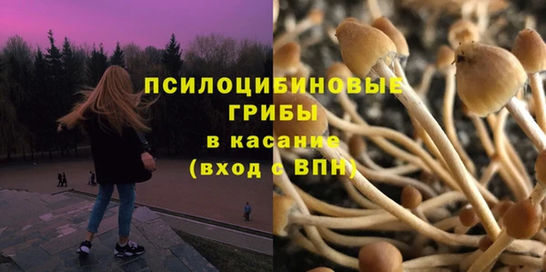 дживик Мегион