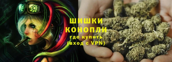 дживик Мегион