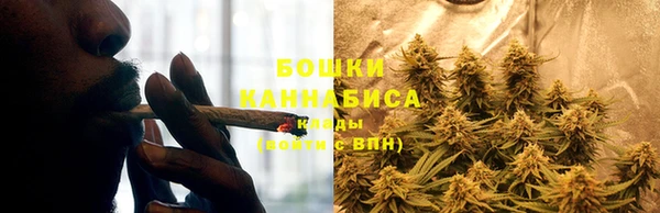 дживик Мегион