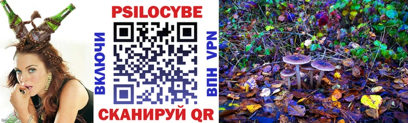 Псилоцибиновые грибы мухоморы  Чаплыгин 